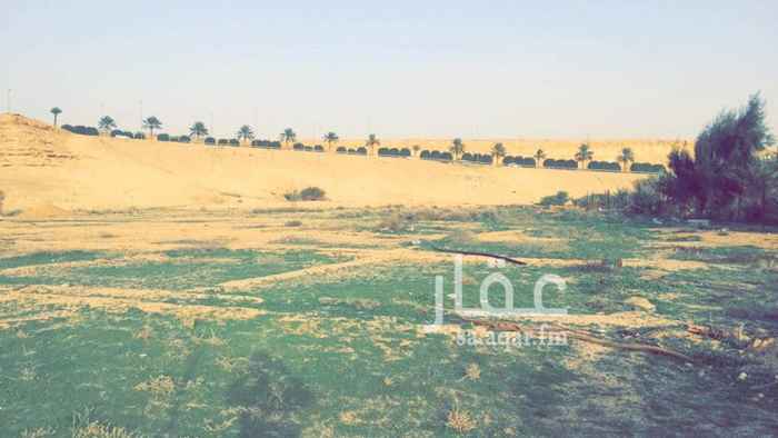 1524154 ارض زراعية بصك شرعي للبيع محافظة العيينه تبعد عن الدرعية 15 دقيقة المساحة : 8892م يوجد بها بئر إرتواز - عداد كهرب السوم : 170 للمتر