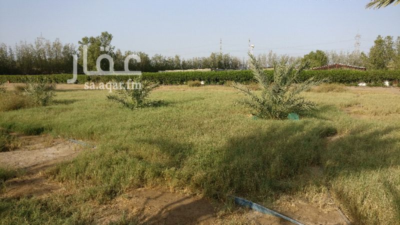 755755 مزرعه للبيع بصك شرعي مميز يوجد بها غرف للسكن وغرف عمال للتواصل واتس 0504666958