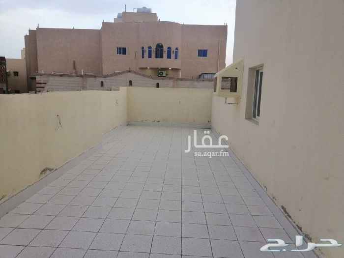 1585206 شقق ايجار شهري
شقق للايجار غرفتين وصالة وحمام ومطبخ ١٠٠٠﷼ العمارة جديدة
يوجد في العمارة مصعد ومواقف سيارة
وشقة غرفة وصالة وحمام ومطبخ وسطوح كبير