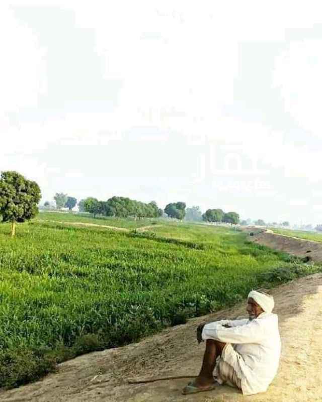 1292365 قريب من الطريق العام ومسوره وفيها سكن عمال ومزروعه بالكامل.