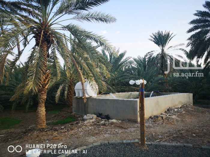 1294418 مزرعة للبيع
للتواصل 0593020816