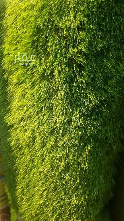 1398643 ارض مسوره ٣٠٠م تصلح لتأجير السيارات او غيرها بالسنه عشرين الف ريال فقط عقد ٥ سنوات
٠٥٩٣٥٩٠٠٠٦
بريد إلكتروني mmm70015mmm@gmail.com