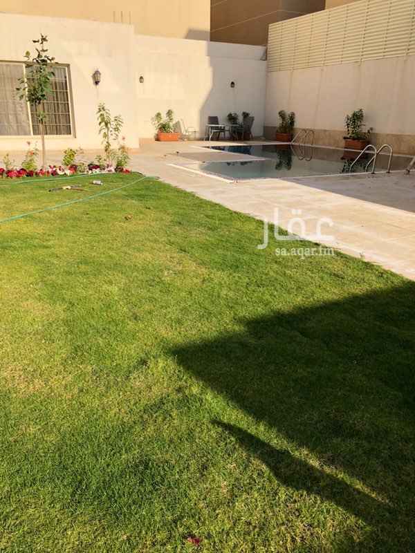 1536303 استراحة في مربع 9 وسط حي سكني للايجار اليومي
قسم واحد فقط
يوجد مسبح راقي ( اوفر فلو ) يصل عمقه الى 2.5 متر
يوجد حديقة و مسطحات خضراء
