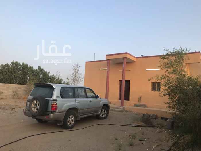1684986 مزرعه فيها بيت جديد مع مجلس خارجي واربع ابار ارتوازيه