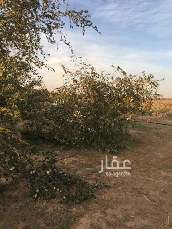 1331313 للبيع مزرعه
واصله لها الكهرباء
مساحتها 128 الف
فيها غرفتين عمال
فيها نخل عدد تقريبا 120
70 عجوه وبناتها 94 صغير كبير
20 صقعي
15 ربيعه
15 رثانه
وفيها 17 بيت محمي
5 بيوت لسع ما بعد تركبت
البئر بها 3 بوصه والماء وفير ولله الحمد
فيها زربة غنم بي معالفها تشيل 100 راس
بها 3 عمال على الاقامه
الموقع القفيف طريق المهد المزرعه مسجله بالزراعه وبمكتب العمل