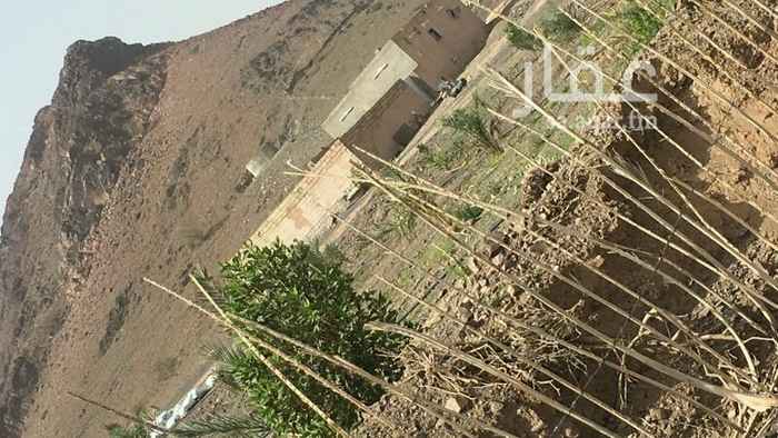 933300 **السلام عليكم ورحمة الله وبركاته**
*(استراحه للبيع •*)
*(الموقع ابيار الماشي)*
*المساحه 10الف م**
*يوجد فيها بئر بوصه ونص ويوجد فيها (60)نخله**
*يوجد فيها بيت**
*وكهرباء**
ويوجد لدينا الكثير من العروض التواصل واتس اب
ا. (المطلوب 300الف)