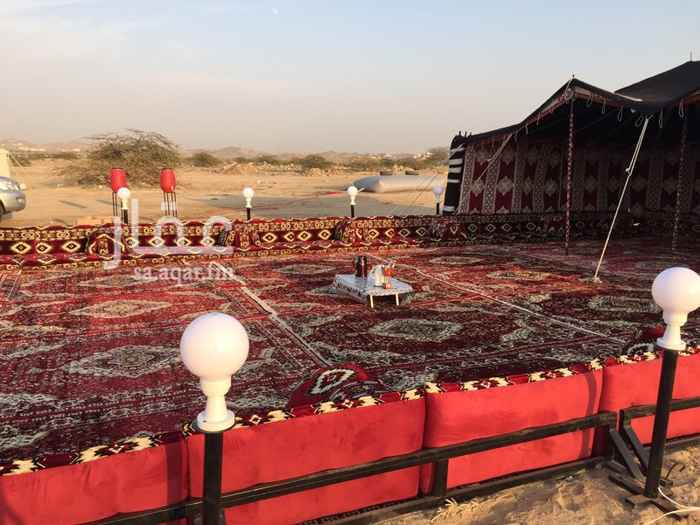 753123 ((مخيم الرغامة للايجار اليومي ))
بيت شعر مقاس 6*9
جلسه امام بيت الشعر 8* 12 جلسة بطرماء ومساند وتكيات
تلفزيون مقاس 55 بوصه
قنوات الرياضة MBC PRO SPORTS
ميفا مندي
ثلاجة قهوة
ثلاجة شاي
فناجيل قهوة
كاسات شاي
ابريق شاي
ابريق قهوه
ابريق تفويح ماء
منقل نار (( مشب))
مغاسل
حمام
ملعب كرة طائرة مجهز