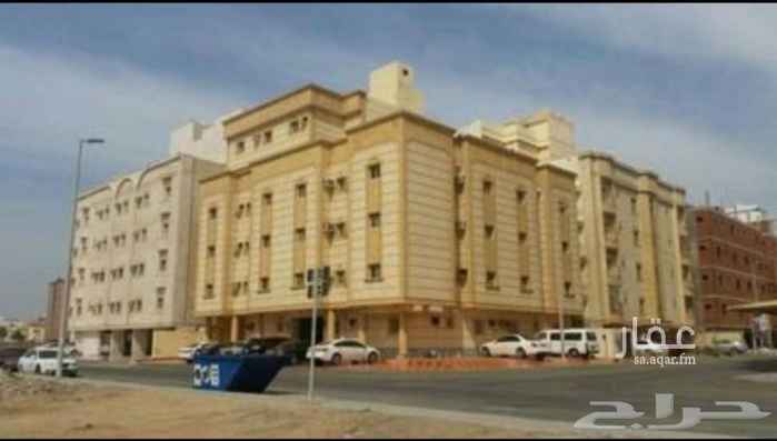 1663381 للعوائل فقط
عقار 83 بحي الربوة جديدة
4 غرف وصالة ومطبخ و 2 حمام
غاز و دش مركزي
موقف سيارة خاص
المطلوب 25.000