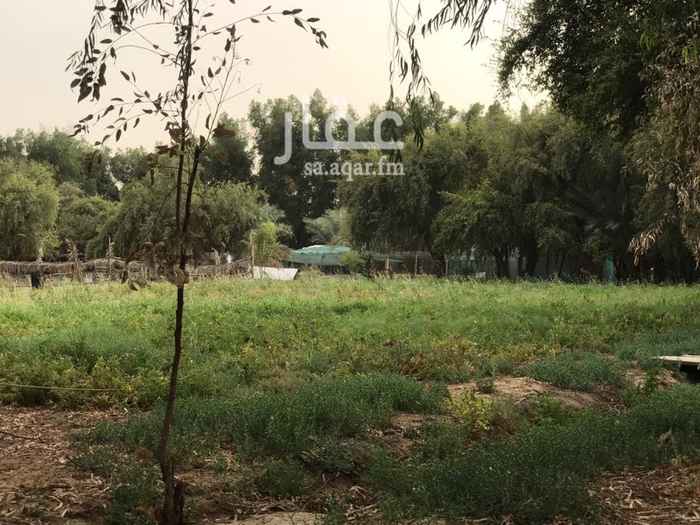 1010042 السلام وعليكم ورحمة الله وبركاته ..
للبيع ارض زراعية بمخطط رقم 203 رقم القطعه1 بين الجعيمة وصفوئ ب2كيلو وربع شرق طريق الجبيل السريع و4.5 كم شمال طريق راس تنورة .. وحدودها واطوالها كما في الصك .. شمالا : 250 مترا شارع عرض 50 متر .. وجنوبا 250 مترا وشارع عرض 50 متر .. وشرق بطول 200 متر وشارع عرض 50 متر .. وغربا بطول 200 متر وشارع عرض 50 متر .. بمساحة اجمالية 50 الف متر مربع ، ويوجد بها عدد 2 بير ماء والابار ارتوازيه وفيها 250 نخلة وبها زراعة ومجلس كبير ومسوره دار مادار بشجر كونكارس .. 0599712300