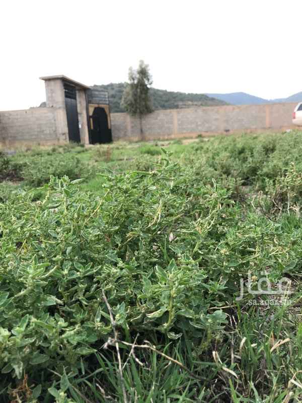 1566281 السلام عليكم ورحمة الله وبركاته
يوجد لدي منزل للإيجار الصيفي في ضواحي السوده مؤثث اثاث كامل وجديد والمنزل جديد أيضا لم يسكن من قبل يقع المنزل في موقع سياحي ومميز ويمتاز بمكانه الهادي بعيد عن صخب وزحمة المدينة يوجد به اربع غرف وصاله وثلاث دورات مياه اعزكم الله
المنزل للإيجار الشهري أو النصف شهري فقط
ونعتذر لا نؤجر باليوميه
ونعتذر لا نؤجر باليوميه
الايجارات كالتالي
نصف شهر ١٠١٠٠
شهر كامل ٢١٠٠٠
ابتدا من ١٤٤٠/١٠/١ إلى ١٤٤٠/١٢/٣٠
ارقام التواصل :
اتصال ابو ريان / ٠٥٩٩٧٧٠٢٦٧
واتس اب / ٠