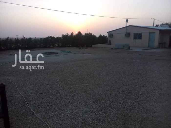 1662652 يتكون من قطعتين بصك شرعي على شارعين متظاهرين،
فيها ثلاث حضائر ومستودع بمدخل مستقل
بيت يتكون من مجلس نساء ومجلس رجال، صاله، غرفتين داخليتين، مطبخ، ثلاث دورات مياه، دكه خارجيه،مشب يطل على المسبح والمسبح مظلل، مجلس خارجي منعزل
غرفه للحارس عند مدخل المزرعه
والنخل بعضه مثمر ومعه ثلاثين فسيلة نخل مع امهاتها
مسوره بشبك وشجر عالي.
"الكهرباء واصل عداد سكني"