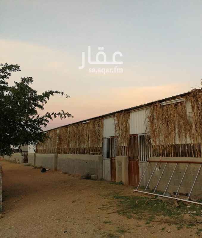 1331639 مزرعة للبيع ( استراحة) منظمة ومرتبة ترتيب ممتاز
عشرة الآف متر بصك شرعي
الموقع الأوسط
يبعد عن السويدي والشفا نصف ساعة
ويبعد عن ديراب تسع كيلو تقريبا
تحتوي على ثلاث مجالس
5×9
5×6
5×6
ومطبخ ودورتين مياة
ومظلات
وغرفة كبيرة للعامل
وبئر 200 متر والماء وفير و حلو
وبركة سباحة 7×5
ومخزن 20×10
واحواش للأغنام والأبل
والدجاج والحمام
وخزان مياه 6×6×6
ومضخة (دفاعة) 7 حصان
وتحتوي على نخيل وأشجار منوعة...
78 نخلة منوعة
100 شجرة منوعة حمضيات ليمون وبرتقال وفندي وتين وعنب ورمان وسدر وخوخ .. وبرسيم.. وأشجار زينه