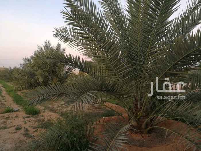 1365381 مزرعة للبيع ( استراحة) منظمة ومرتبة ترتيب ممتاز..
عشرة الآف متر بصك ش
الموقع الأوسط
يبعد عن السويدي والشفا نصف ساعة
ويبعد عن ديراب تسع كيلو تقريبا
تحتوي على ثلاث مجالس
5×9
5×6
5×6
ومطبخ ودورتين مياة
ومظلات
وغرفة كبيرة للعامل
.....
وبئر 200 متر والماء وفير و حلو
وبركة سباحة 7×5
ومخزن 20×10
واحواش للأغنام والأبل
والدجاج والحمام
وخزان مياه 6×6×6
ومضخة (دفاعة) 7 حصان
وتحتوي على نخيل وأشجار منوعة...
78 نخلة منوعة
100 شجرة منوعة حمضيات ليمون وبرتقال وفندي وتين وعنب ورمان وسدر وخوخ .. وبرسيم.. وأشج