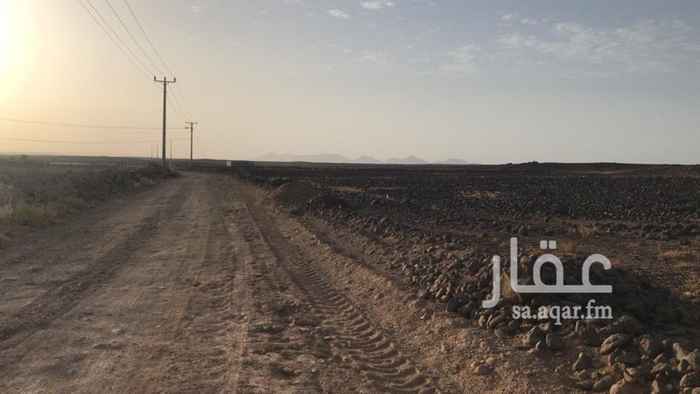 1554111 ارض زراعية تقع في منطقة المدينة المنورة في قرية امهات بيض تبعد عن المدينة المنورة 150 كيلو باتجاه تبوك المياه غزيرة والكهرباء تمر بجانبها