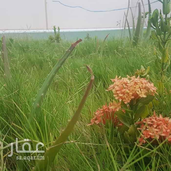 1753707 استراحة جديده فاخره للبيع
شارعين ٢٥ و ١٦
ملعب كره ومسبح
جلسه خارحيه
حديقه
بيت شعر
مكيفات سبليت
مولد كهربائي 45كيلو وات
جوهرة العروس ١ك
للمزيد 0599966653