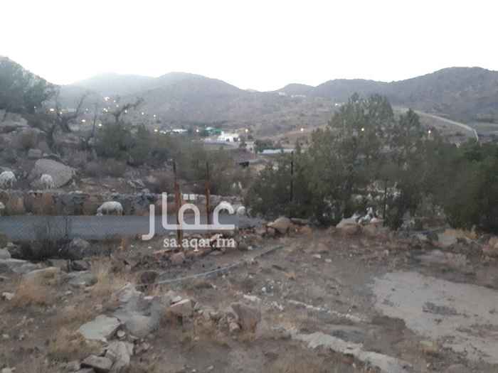 1113579 عبارة مزرعتين بصكين حول الصك الى صك سكني لامكانية استغلال الموقع وبناء منتجع سياحي حيث حوله منتجعات