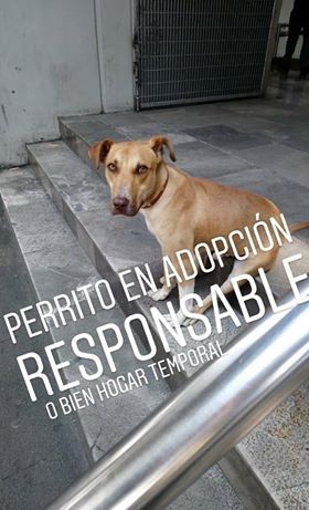 Sin nombre