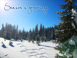 Happy Holidays ecard
