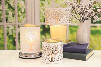 Spring Summer Collection 2025 Spring Summer Collection 2025