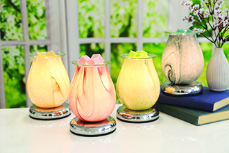 Electric Melter (Touch Base)