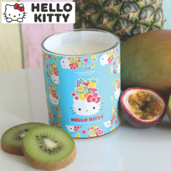 6. Hello Kitty Static QTR4