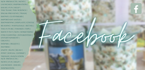 Social Blog - Facebook