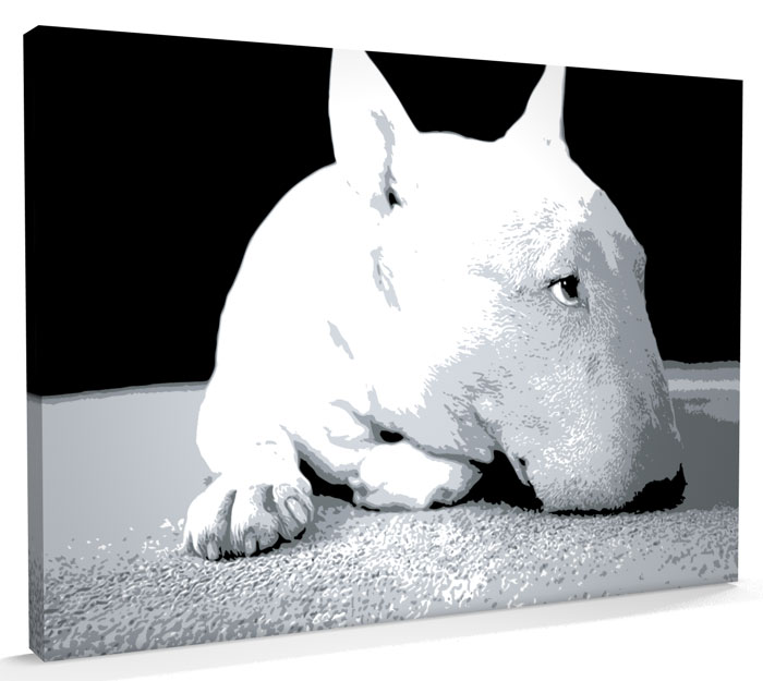 English Bull Terrier Pop Art, CANVAS A3 to A1 v210 eBay
