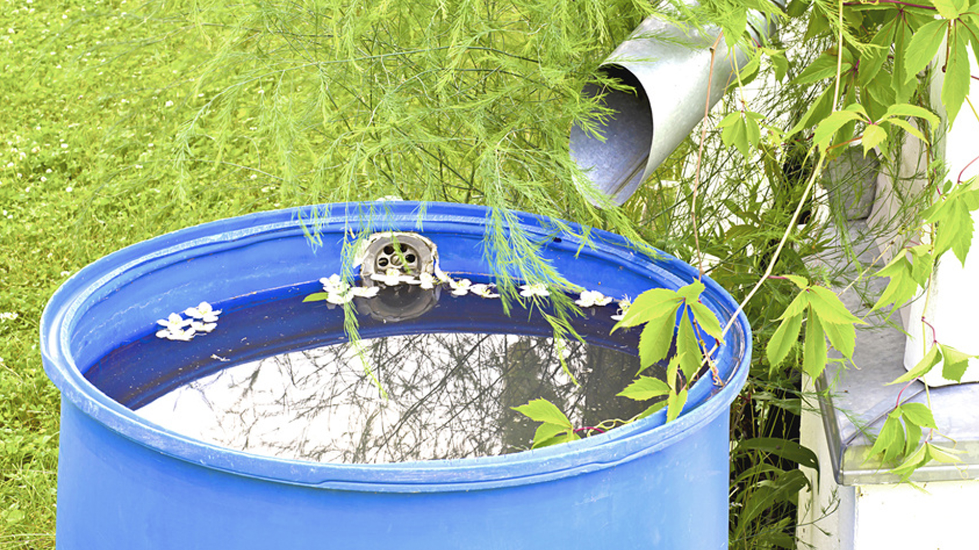 GREYWATER SYSTEMS - AN EFFECTIVE WATERING RESOURCE GREYWATER SYSTEMS - AN EFFECTIVE WATERING RESOURCE