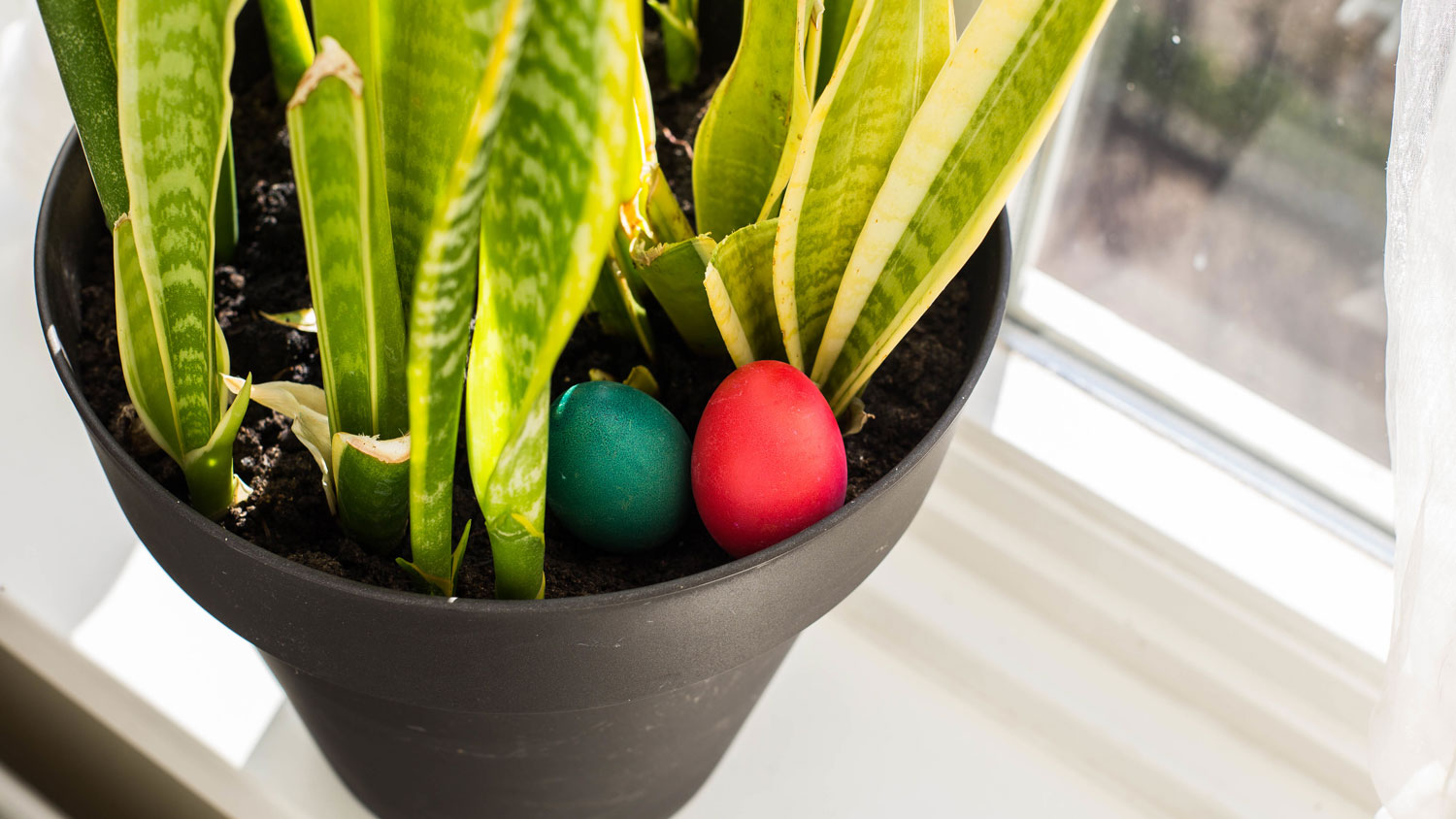 THE BEST SPOTS TO HIDE EASTER EGGS IN YOUR HOME THE BEST SPOTS TO HIDE EASTER EGGS IN YOUR HOME