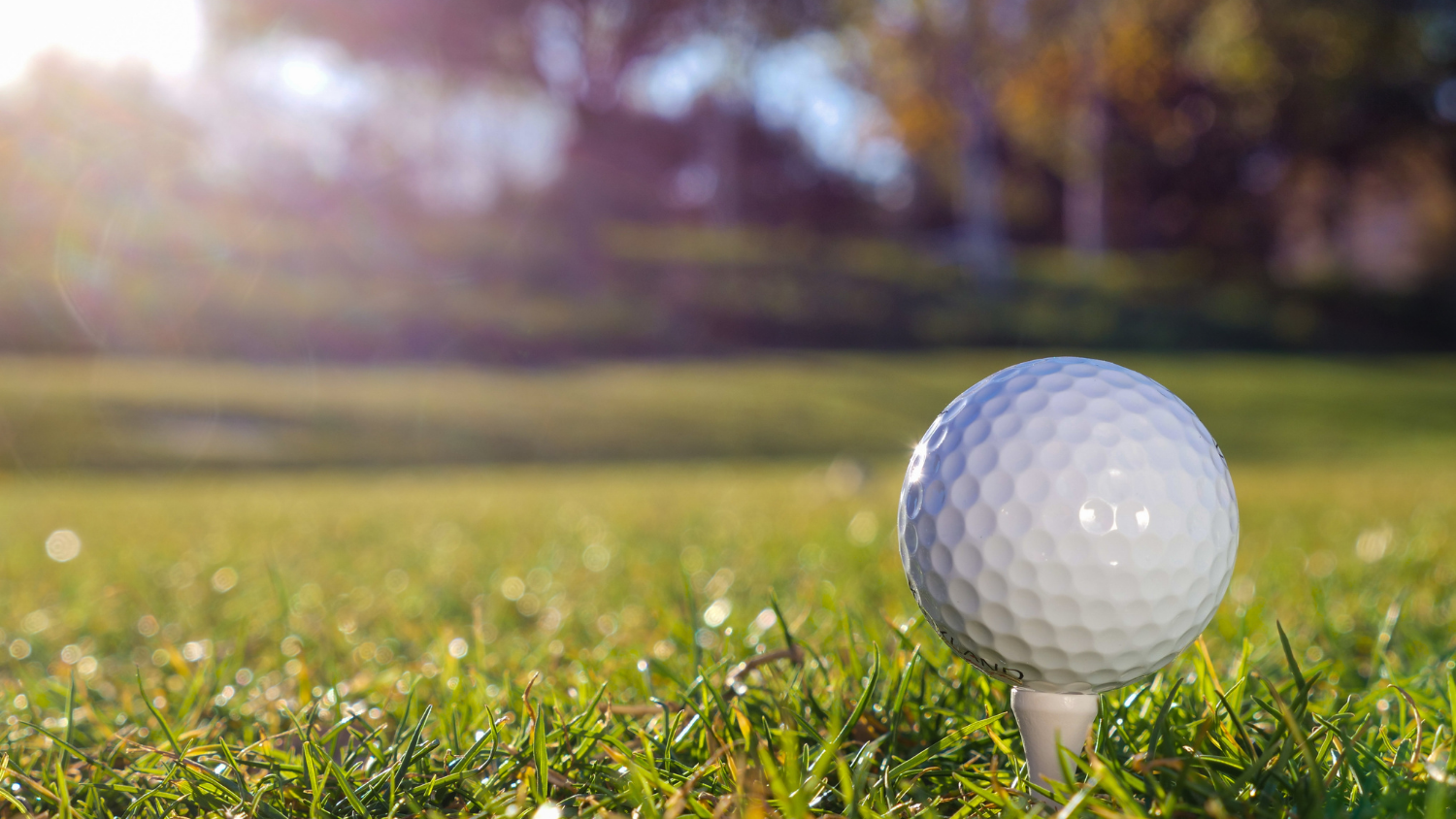 RE/MAX SA PARTNERS WITH SUNSHINE LADIES TOUR RE/MAX SA PARTNERS WITH SUNSHINE LADIES TOUR