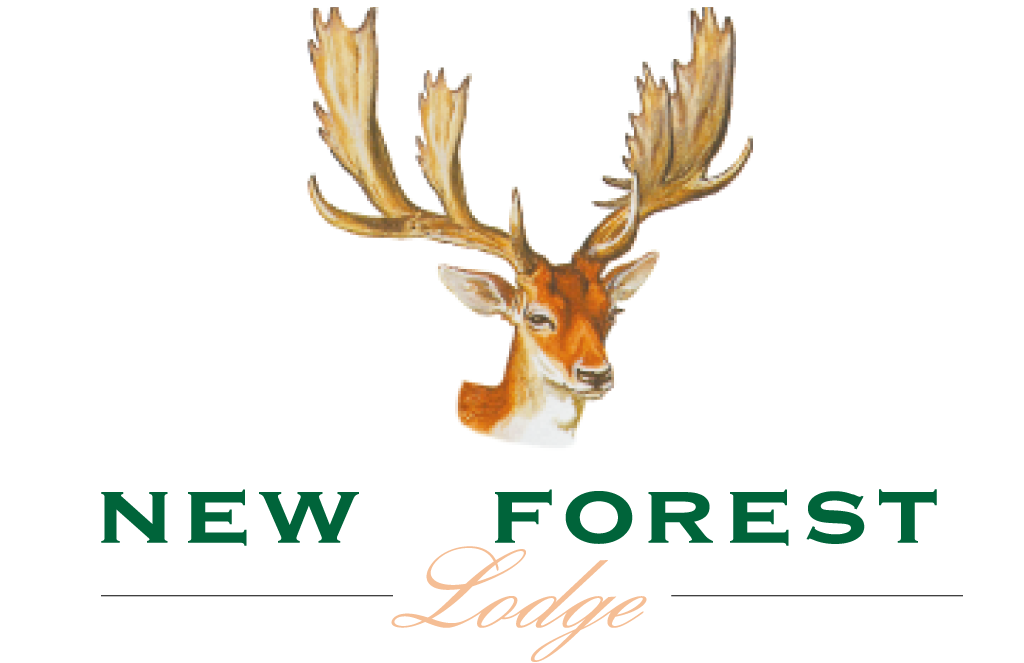 New Forest Lodge Colour Stag