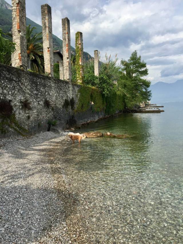 Property for Sale Designer Villa For Sale Lake Garda