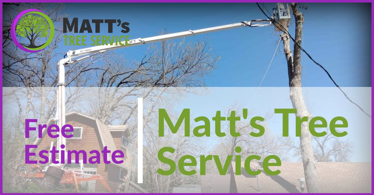 Thank you for considering Matt's Tree Service