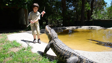 The 8 Year Old Gator Wrangler