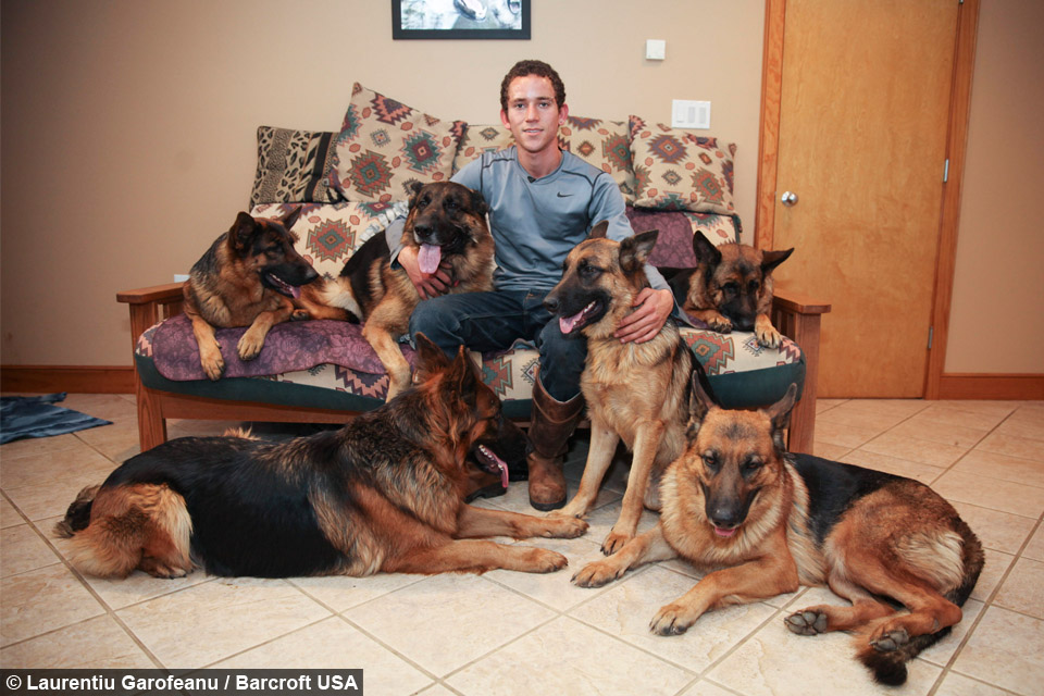 Leader Of The Pack: Dog Whisperer Walks With Six Dogs