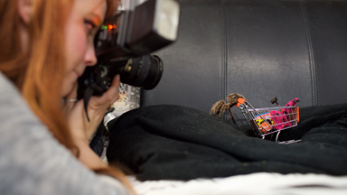 Insta-Wincy Spider: Pet Tarantula Stars In Quirky Pictures