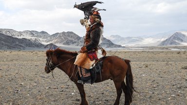 The Eagle Has Landed: Glorious Birds Spread Their Wings In Western Mongolia