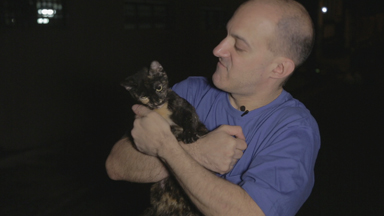 The Undercover Cat Man Feeding Hundreds Of Strays