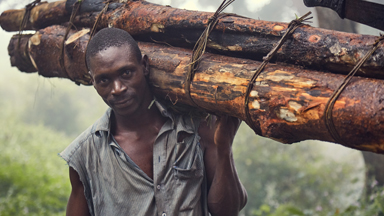 Loggers Carving Their Livelihood From Malawi's Declining Forests