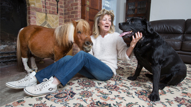 Tiny 22-Inch Horse Could Be Smallest In Britain