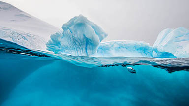 Tip Of The Iceberg: Photographer Captures Beautiful Antarctic Split-Shots