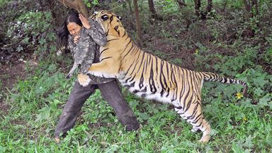 You're Grrrrrrreat: Man's Unbreakable Bond With Bengal Tiger