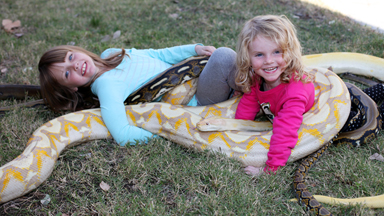 Snake vs 3-year-old: Lizard King Dad Let’s Kids Play With Huge Reptiles