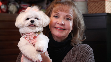 Trust Fund Dog: Pampered Pooch Set for Family Fortune