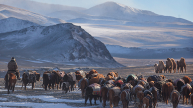 Extreme Living: Rare insight into the migration of the eagle hunters