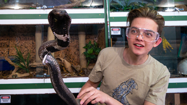 Venomous Snakes Helped Save My Life