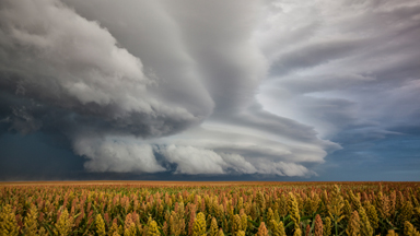 When the skies come to life: A year of Storm Chasing