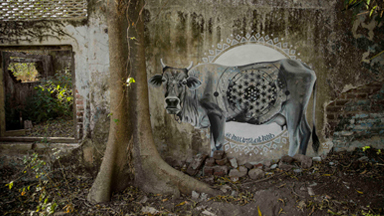 Abandoned Hindu monastery transformed by graffiti art