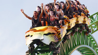 Splash: Tom Daley's Birthday Outing With Friends At Busch Gardens
