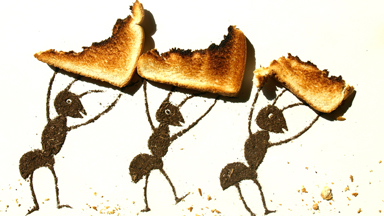 Artist Uses Dirt To Create Muddy Masterpieces